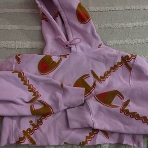 champion crop-hooded sweatshirt